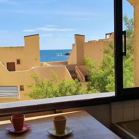 Duplex Vue Crique Au Pied De La Banyuls * Cerbère