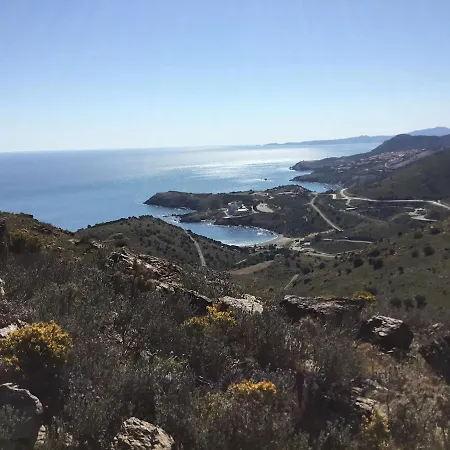 Duplex Vue Crique Au Pied De La Banyuls Lägenhet Cerbère