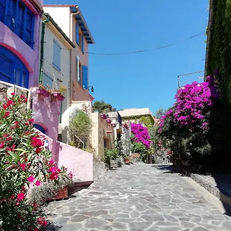 Duplex Vue Crique Au Pied De La Banyuls Lägenhet